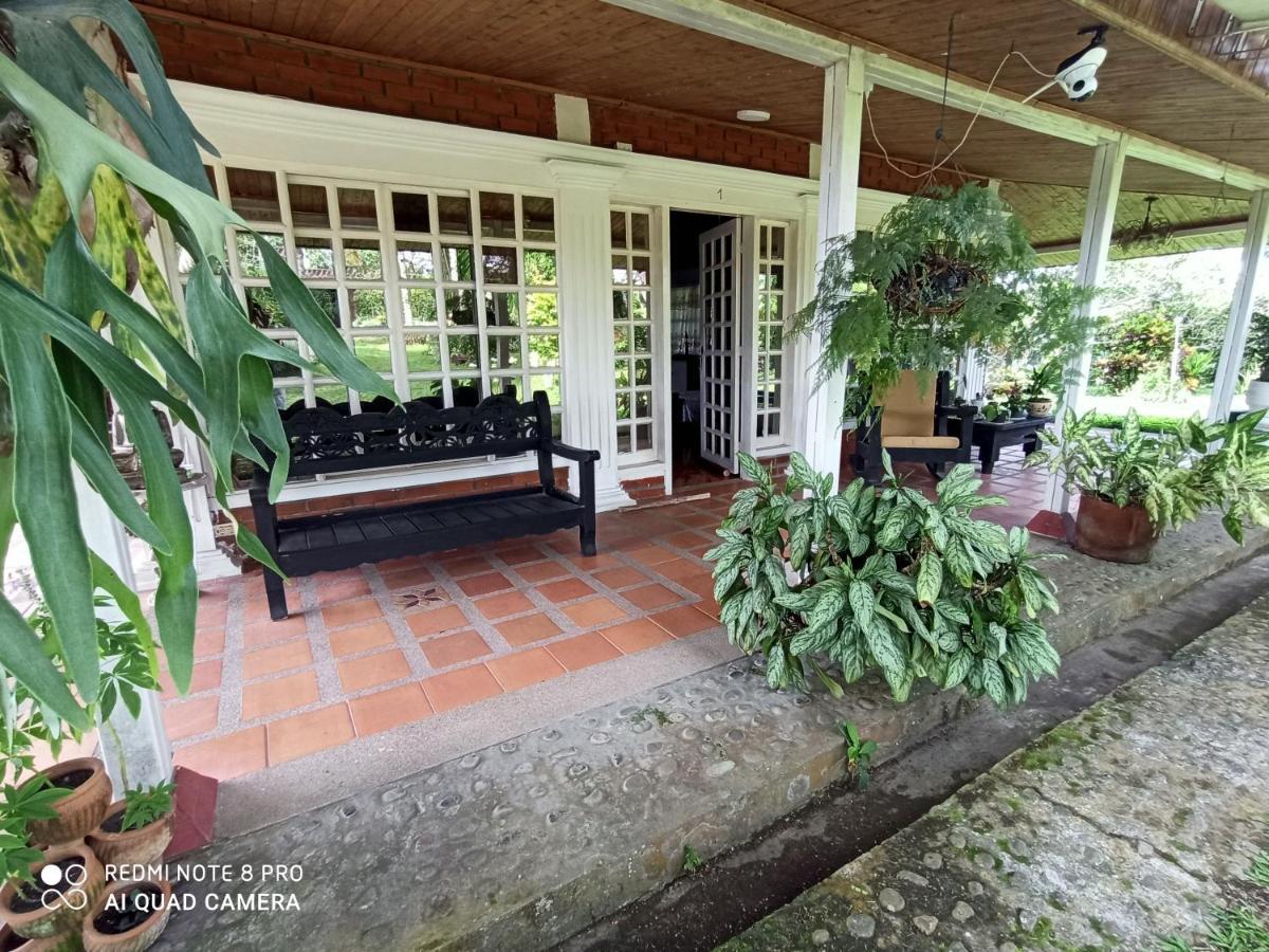Villa Monica Монтенегро Экстерьер фото