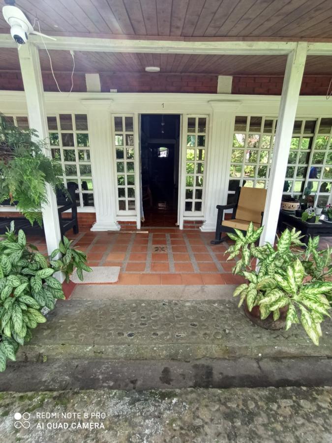 Villa Monica Монтенегро Экстерьер фото
