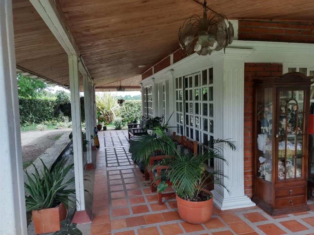 Villa Monica Монтенегро Экстерьер фото